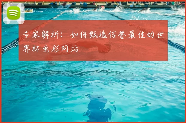 专家解析:如何甄选信誉最佳的世界杯竞彩网站