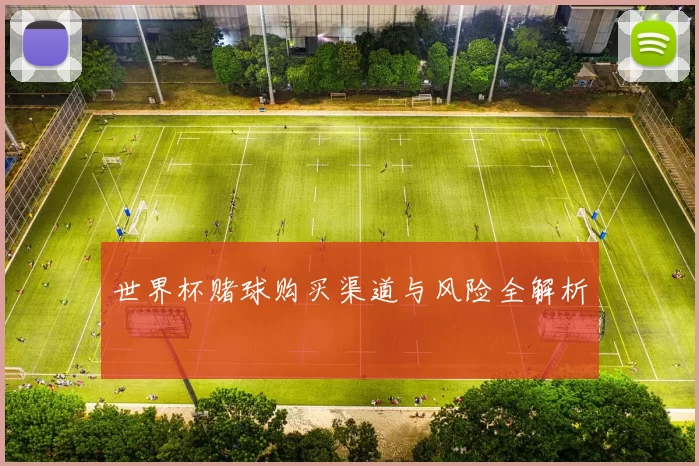 世界杯赌球购买渠道与风险全解析