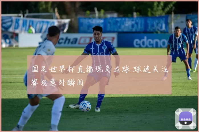 国足世界杯直播现乌龙球 球迷关注赛场意外瞬间
