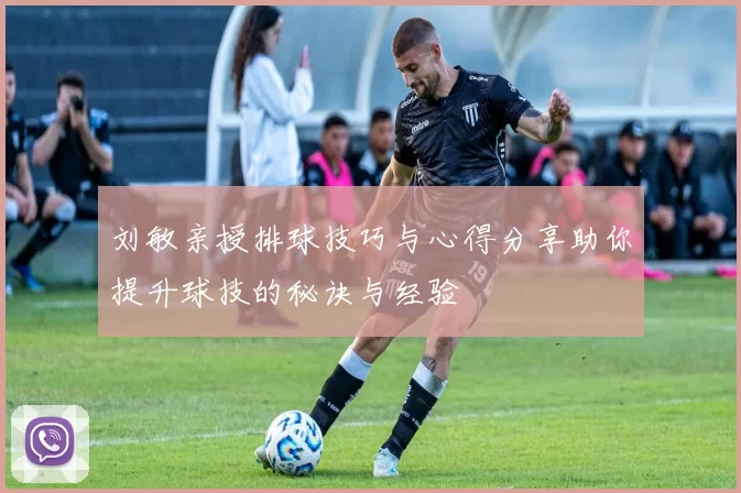 刘敏亲授排球技巧与心得分享助你提升球技的秘诀与经验