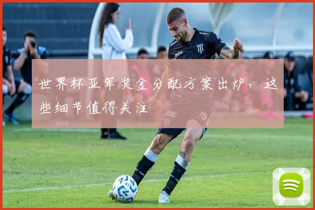 世界杯亚军奖金分配方案出炉,这些细节值得关注