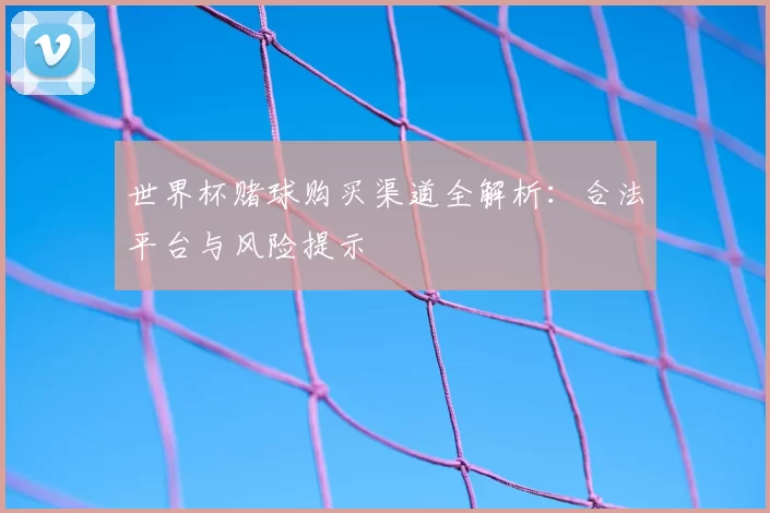世界杯赌球购买渠道全解析:合法平台与风险提示