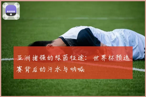 亚洲诸强的绿茵征途:世界杯预选赛背后的汗水与呐喊