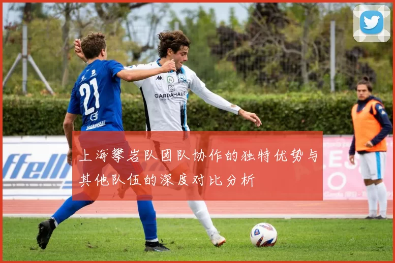 上海攀岩队团队协作的独特优势与其他队伍的深度对比分析