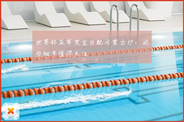 世界杯亚军奖金分配方案出炉,这些细节值得关注