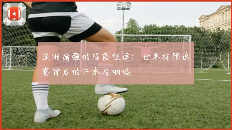 亚洲诸强的绿茵征途:世界杯预选赛背后的汗水与呐喊