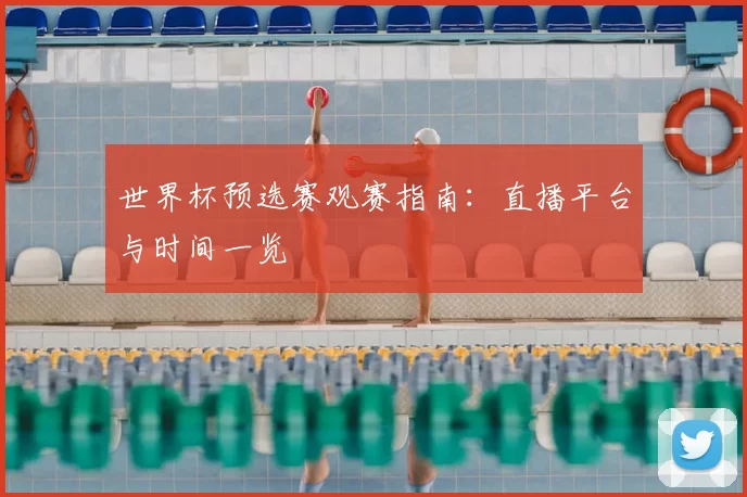 世界杯预选赛观赛指南：直播平台与时间一览