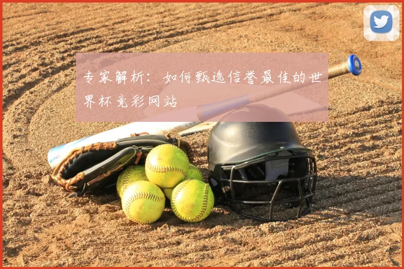 专家解析：如何甄选信誉最佳的世界杯竞彩网站