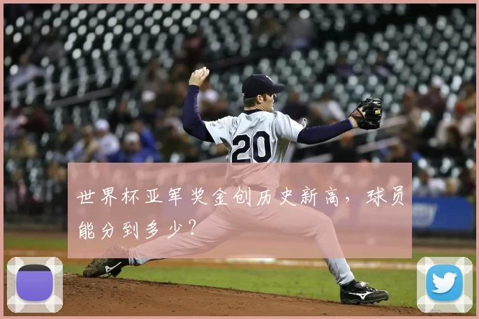 世界杯亚军奖金创历史新高,球员能分到多少?